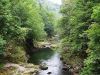 Monumente naturale din Borsa